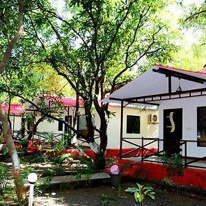 The Wilds Villa Gir Jungle Stay With Swimming Pool